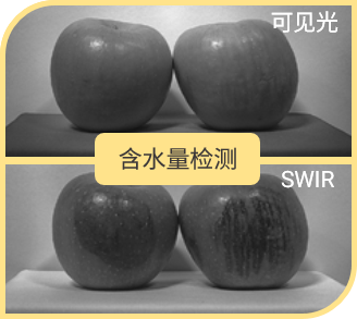 image8.png