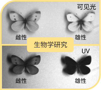 image7.png